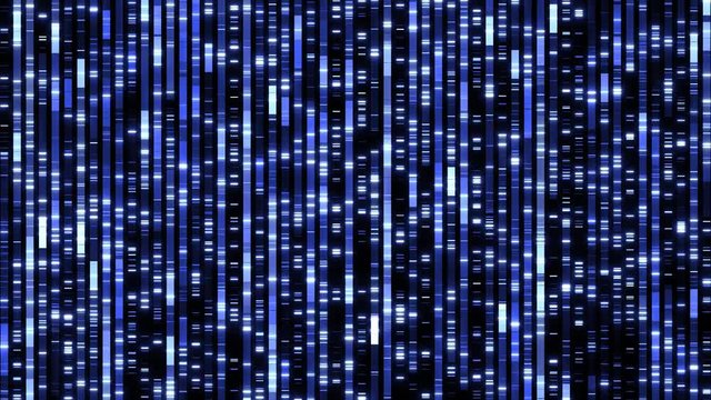 Genetic dna sequencing genealogy analysis visualization