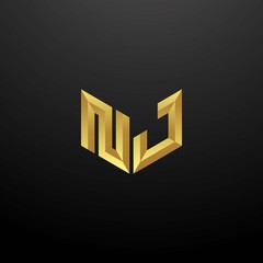 NJ Logo monogram 3d version