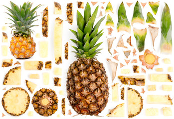 Pineapple Collection Abstract