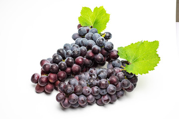 Two bunches of fresh purple grapes
