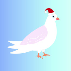 Cute dove, bird, art, vector illustration