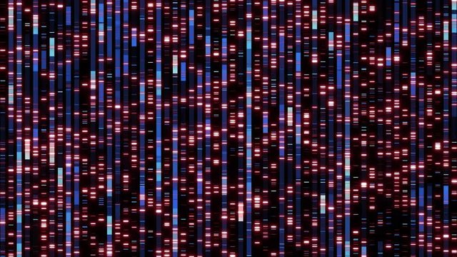 DNA sequencing mapping working out the order of the bases
