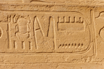 Ancient egyptian hieroglyphs on the wall in Karnak Temple Complex in Luxor, Egypt