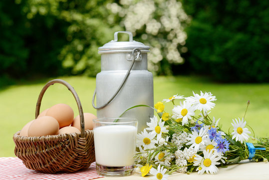 brown chicken eggs in the basket, glass milk, wild flowers and  milk churn on wooden table  in the garden