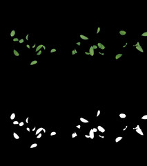 3D illustration of a mint leaves flow with alpha layer