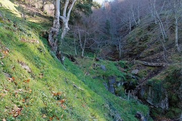 valle verde