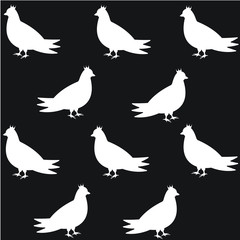 Cute dove, bird, art, vector illustration