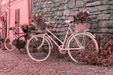 Fototapeta na wymiar Flower pot bicycles in Romania 