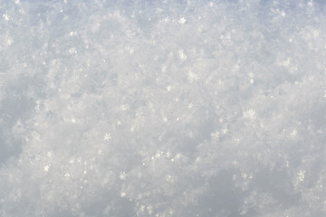 snow large snowflakes visible texture
