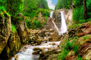 One of the most beautiful waterfalls in Romania It's fully covered in moss which makes it really special and different to other waterfalls.