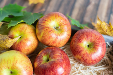 Freshly picked apples on straw