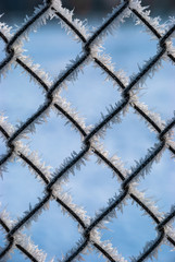 Ukrainian winter frosted fence rime nature weather close up macro water 