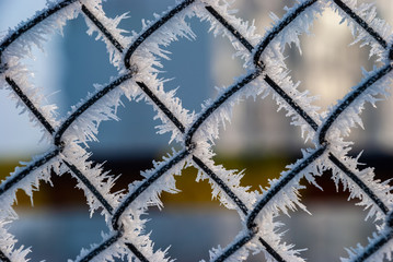 Ukrainian winter frosted fence rime nature weather close up macro water 