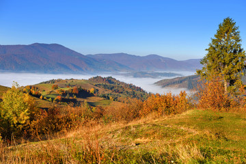 Beautiful autumn mountain landscape in the morning light with fog and bright hills. Carpathian, Ukraine, Europe.