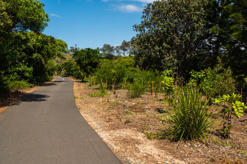 Coastal walking track