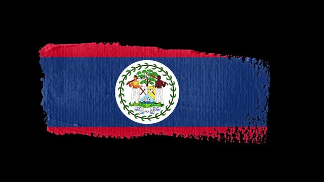 Belize flag painted with a brush stroke