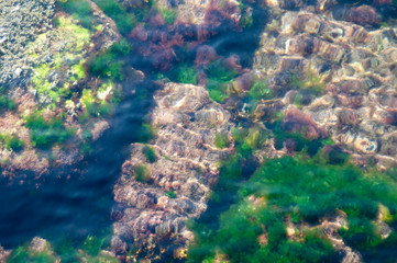 Kangaroo Island, looking in to the sea to view rocks and algae