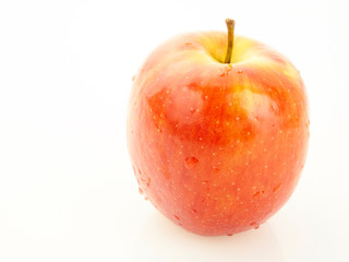 red apples on white background