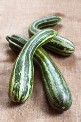 Fresh striped zucchini on sackcloth background