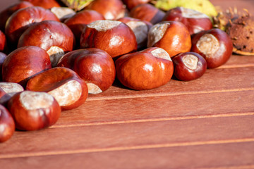 Ein frischer Haufen schöner Kastanien liegt auf einem braunen Tisch bereit zum kreativen Basteln mit Kindern im Herbst und Winter