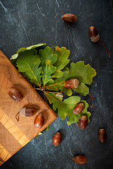 oak cutting board and acorns among the  leaves on a dark marble slab, close-up