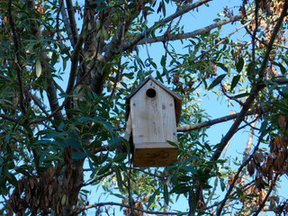 Nido de pájaros de madera; casa para los pájaros construida por el hombre