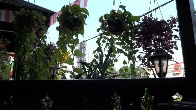 the atmosphere on the balcony of the house during the daytime. many flags because they are celebrating Indonesia's 74th independence