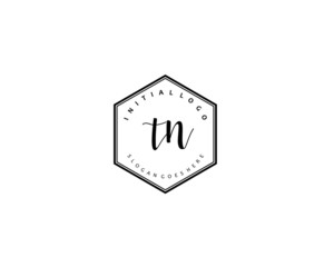 TN Initial handwriting logo vector