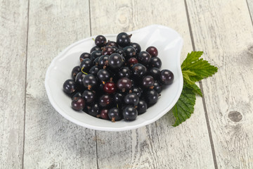 Fresh ripe sweet black currant
