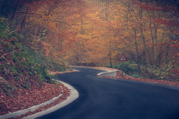 Naklejka premium Papuk, Croatia, 31.10.2018. - New tarmac road in forest of Nature Park Papuk