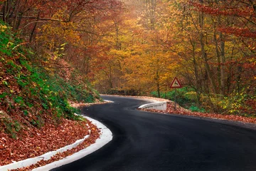 Papuk, Croatia, 31.10.2018. - New tarmac road in forest of Nature Park Papuk © Luka Balkovic