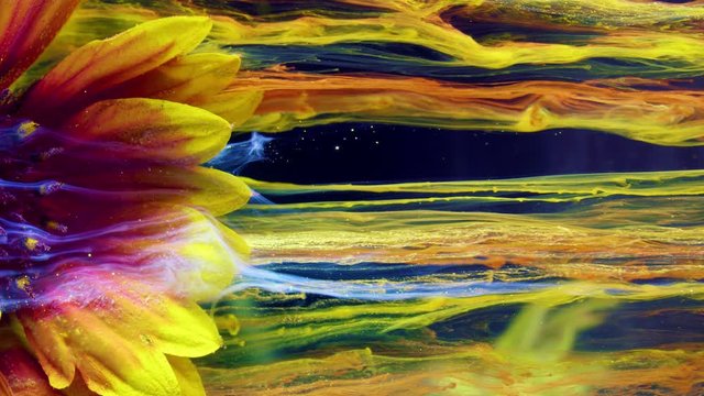 Close-up gaillardia aristata. Acrylic colors and ink in water.