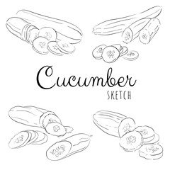 Hand drawn composition with cucumber.