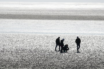 Fototapeta na wymiar Gruppe beim Spaziergang im Wattenmeer
