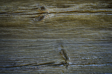  Background texture of wood, oak. Old wooden board. A wall of logs    