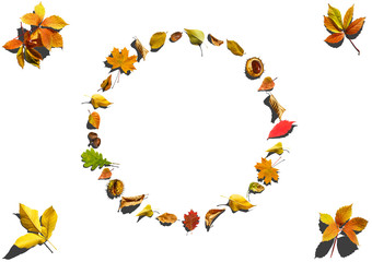 Autumn background with Hello Autumn letters and autumn nature flowers