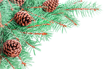 Side view of three beautiful pine cones and green lush Christmas tree branches with empty place for text isolated on white background. Concept for New Year greeting card, banner, invitation.
