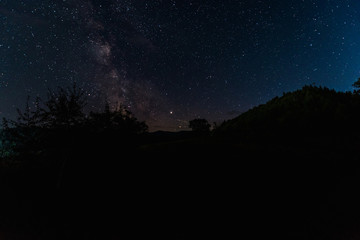 night sky with stars shine in woods at night