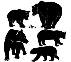 Set of silhouettes of bears. Vector Bears Collection