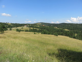 Fototapeta premium Green mountain pasture as ideal place for hiking