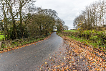 Autumn colours in UK Countryside 