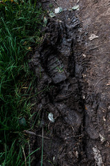 Fototapeta na wymiar footprints on dirty ground with mud near green grass
