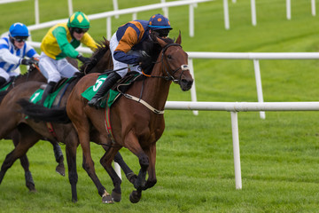 Close-up on  Race horse and jockey taking the lead position on the final furlong
