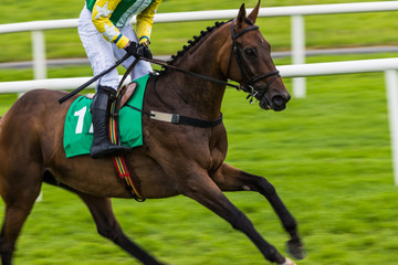 Close-up on racing horse and jockey, fast motion blur effect