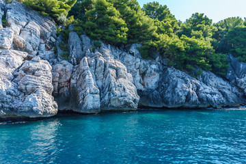 seashore, rocks washed by water and vegetation on them