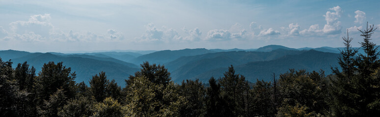 panoramic shot of trees and mountains against sky with clouds