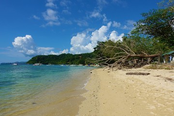 Paradise beach in the tropical island. El Nido, Palawan Island, Philippines