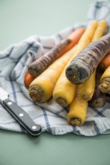 Bunte Urkarotte und Möhren in Lila, Orange und Gelb auf Geschirrtuch mit Messer auf Pastell Mint Grün Hintergrund