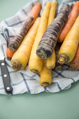 Bunte Urkarotte und Möhren in Lila, Orange und Gelb auf Geschirrtuch mit Messer auf Pastell Mint Grün Hintergrund