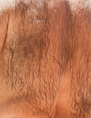 Hair on the back of a man